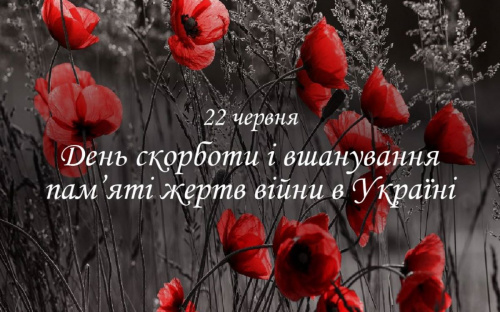 Сьогодні не можна висаджувати квіти та вбивати комарів - традиції та прикмети 22 червня