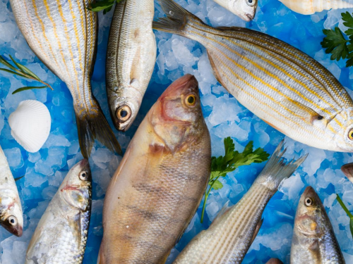 Як вибрати найсвіжішу рибу на ринках Кам’янського та не дати себе ошукати: поради від бувалих