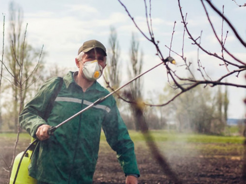 Чим обробити дерева в саду у квітні, щоб врятувати врожай від шкідників: поради для дачників Дніпропетровщини