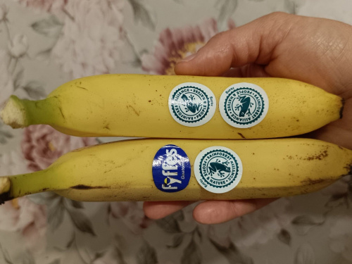 Таємнича жаба на бананах: що купують мешканці Дніпропетровщини в супермаркетах міста