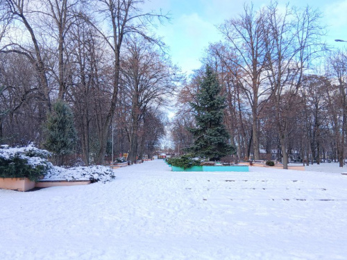 Свято зі снігом та морозом: на Дніпропетровщині офіційно розпочалася зима