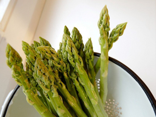 Золото на грядках: як жителям Дніпропетровщини виростити врожай дорогої спаржі вже цієї весни