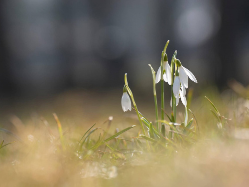 Лютий іде з боєм: у Кам’янському оголошено про різку зміну погоди з суботи