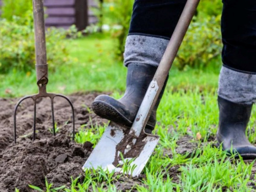 Помилки, що залишать без урожаю: що категорично не можна робити на городі у квітні дачникам Дніпропетровщини