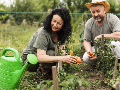 Секрет рекордного врожаю на Дніпропетровщині: що посадити поруч, щоб овочі росли як на дріжджах