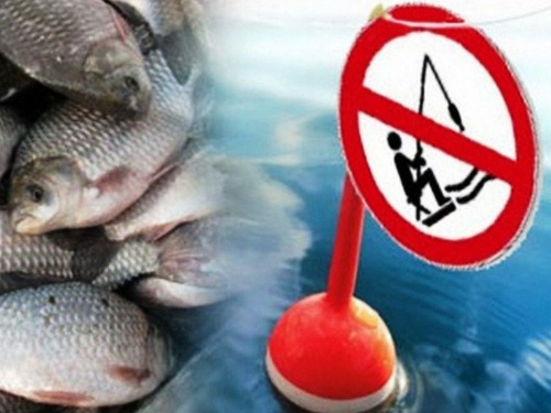 Зимова заборона на вилов риби: які ділянки Кам’янського водосховища потрапили під обмеження