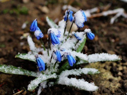 Святковий сюрприз у Кам’янському: якими будуть вихідні 7-8 березня