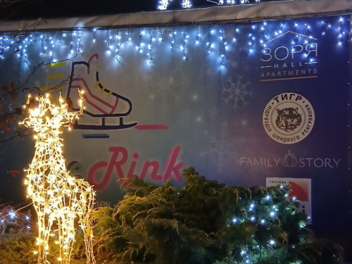 У Кам’янському світлові фігури оленів стали головною прикрасою ковзанки та парку