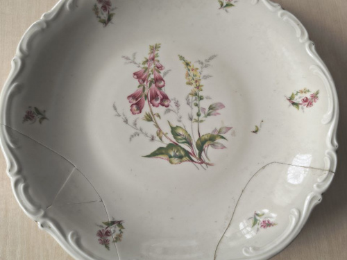 Баварська витонченість у Кам’янському: історія одного порцелянового експоната