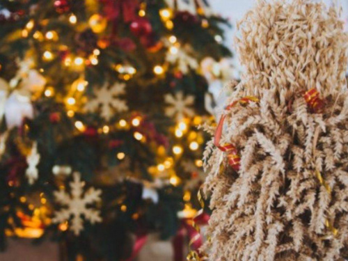 Замість ялинки - дідух: екологи нагадують про прадавні українські зимові традиції та закликають не нищити ліси