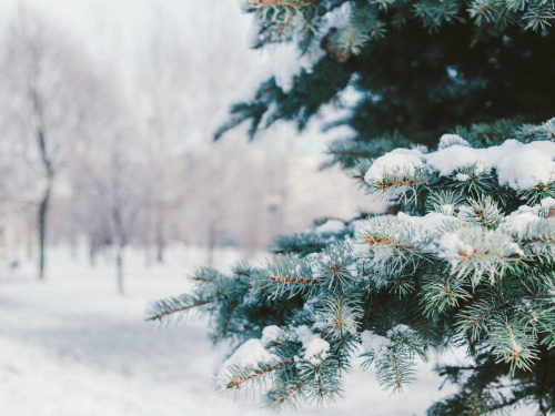 Погода з 15 по 19 грудня: синоптики розповіли, яким буде наступний тиждень у Кам’янському