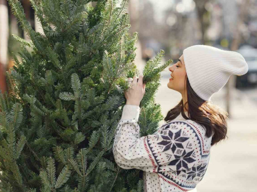 Як обрати якісну штучну ялинку до зимових свят: всі ознаки, на які варто звертати увагу