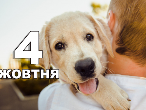 Сьогодні забороняється пускати до оселі незнайомих людей - традиції та прикмети 4 жовтня