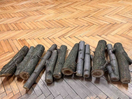 На Дніпропетровщині виконавча служба продає на аукціоні &quot;арештовані&quot; чурбаки акації - соцмережі вибухнули жартами