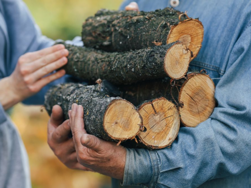 Дрова за пів ціни: де найвигідніше купувати паливо в розпал сезону 2025