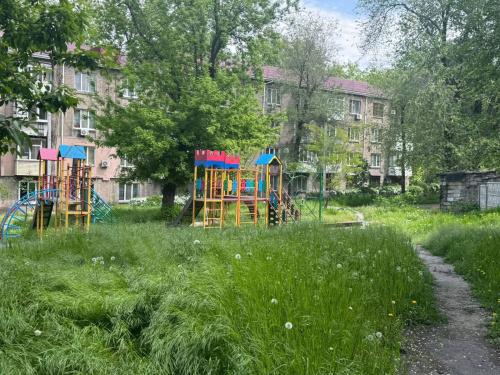 У Кам’янському замість дитячих майданчиків – джунглі