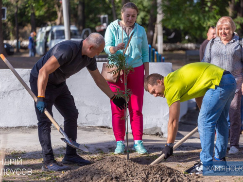 У Кам’янському оновлюють зелені зони у скверах та біля навчальних закладів - подробиці