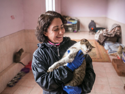 Лише 20% квартир в Україні дозволяють проживання з тваринами: Дніпропетровщина серед лідерів pet-friendly оренди