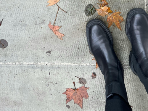 &quot;Холодна гойдалка&quot; та дощі: чого чекати кам&#039;янчанам від погоди 24-28 листопада