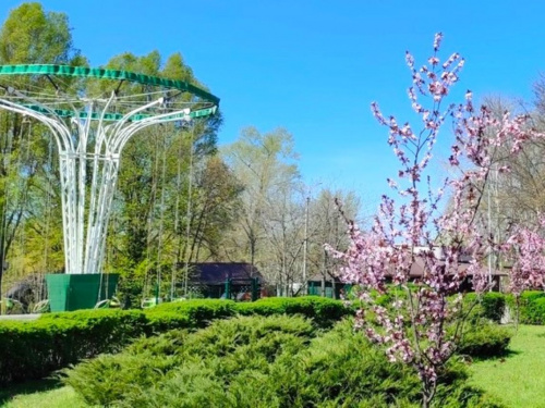 Україну накриє справжнє весняне тепло вже цими вихідними - погода у Дніпрі та Кам'янському 4-5 квітня