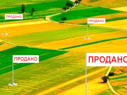 Гектари на мільйони: як фальшиві рішення суду ледве не залишили громаду Кам’янського району без землі