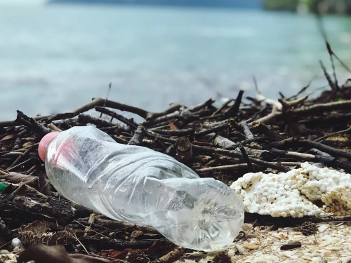 Екоакція на Дніпробуді: «Карітас Кам’янське» запрошує містян прибрати берег річки