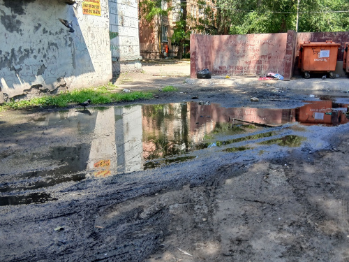 Антисанітарія у центрі Кам’янського: занедбаний двір став проблемою для мешканців міста