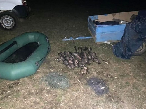 На Дніпропетровщині браконьєр &quot;наловив&quot; карасів на великий штраф та адмінпорушення - подробиці