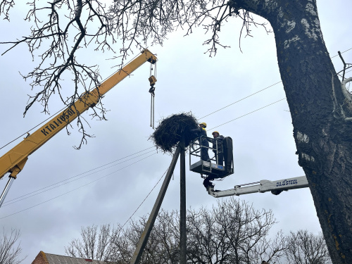 Безпека птахів і мереж: як на Дніпропетровщині енергетики ДТЕК допомагають лелекам