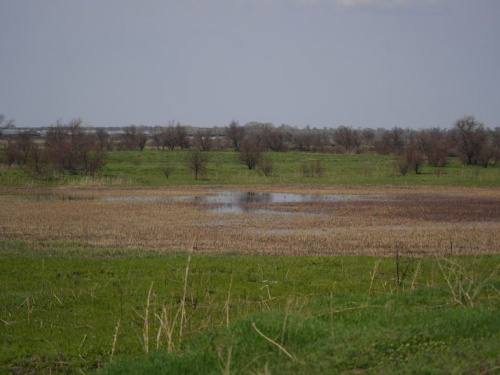 Чому водойми Дніпропетровщини зникають та чи є шанс їх урятувати