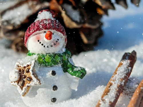 Зимова казка стає рідкістю: синоптики Дніпропетровщини розповіли про статистику засніжених свят