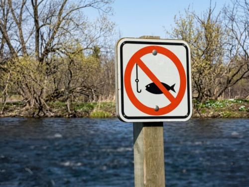 Нерестова заборона 2026 на Дніпропетровщині: де категорично не можна рибалити та які штрафи