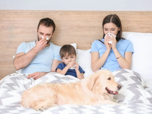 Епідситуація на Дніпропетровщині загострюється: Жовті Води серед міст із перевищенням порогу ГРВІ