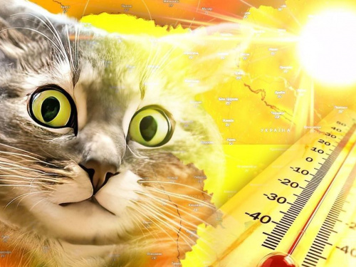 На Дніпропетровщину суне пекельна спека до +40°C: як врятувати організм від перегріву