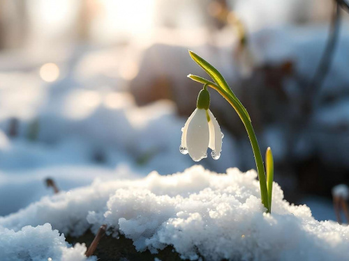 На Дніпропетровщину завітала метеорологічна весна: зима тривала лише два місяці