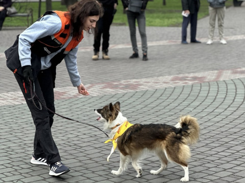 У Кам’янському чотирилапі друзі дарували радість та емоційну підтримку дітям-переселенцям з Маріуполя