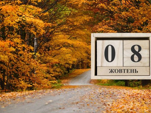 Сьогодні не можна лінуватися та рубати старі дерева: традиції та прикмети 8 жовтня