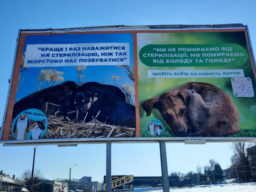 У Кам‘янському з‘явились нові білборди - якій тематиці вони присвячені