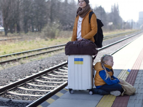 Уряд змінив порядок виплат ВПО: хто зможе повернути виплати та як отримати кошти за минулі місяці