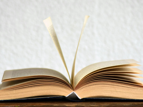 Учні назвали найцікавіші та найнудніші книжки зі шкільної програми: результат вас здивує