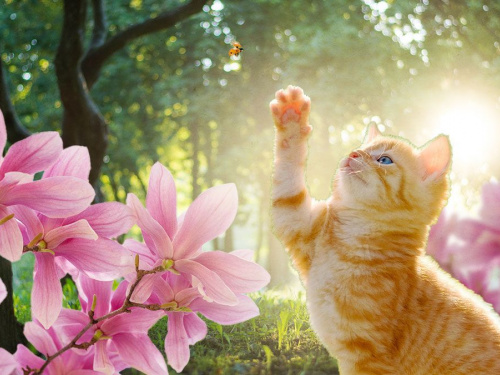 Весна бере своє: прогноз погоди у Кам'янському на межі березня та квітня