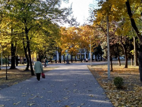 Осінь в Кам'янському: насолоджуємося барвами природи на вулицях міста