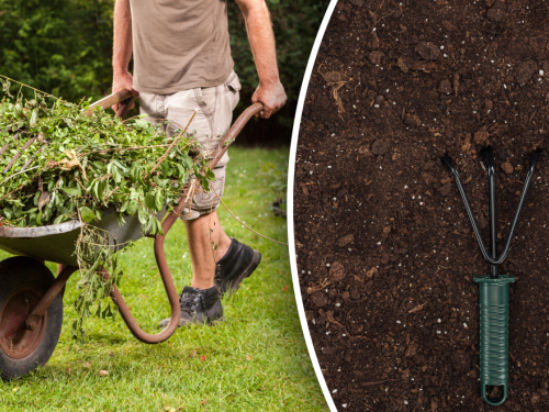 Як підготувати дачу до весни: повний чек-лист для дачників
