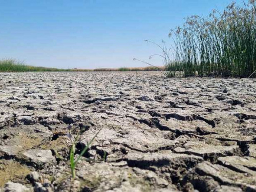 Екологічна катастрофа у Кам&#039;янському районі: водойма перетворилася на сухе дно, мешканці б&#039;ють на сполох