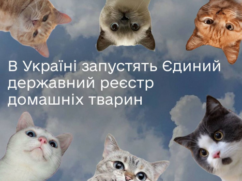 В Україні з’явиться Єдиний державний реєстр домашніх тварин - подробиці