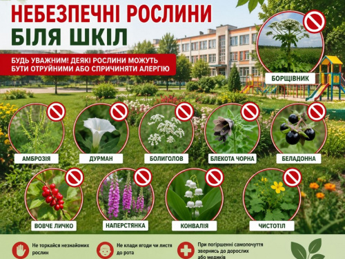 Небезпечні рослини біля шкіл: що заборонено висаджувати, розповіли у Держпродспоживслужбі
