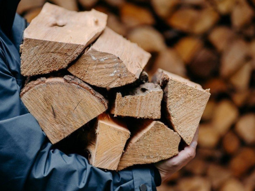 Онлайн-шахрайство на Дніпропетровщині: викрито злочинну схему з продажу дров на 300 тисяч гривень