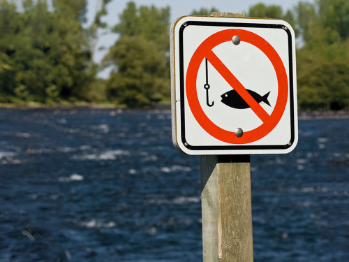 На Кам’янському водосховищі стартує нерестова заборона: де не можна рибалити