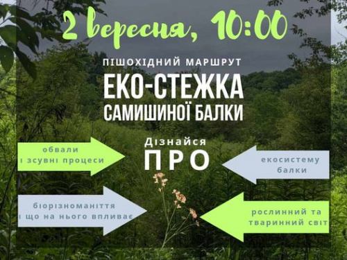 Запрошення на екостежку: містян та ВПО кличуть на природний квест 