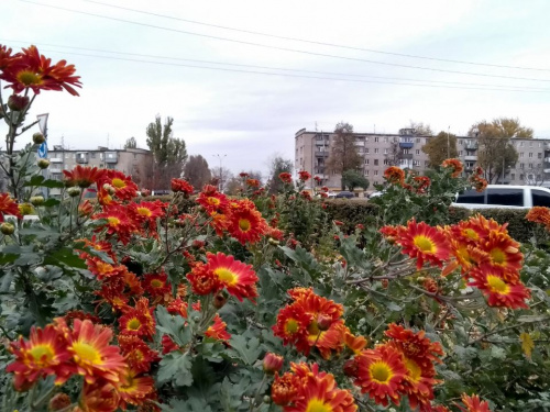 До України йде потепління: синоптики розповіли, коли у Кам'янському підвищиться температура